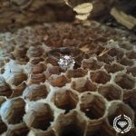 Vai dimanta actiņa tavā rotā tiešām ir kas īpašs?