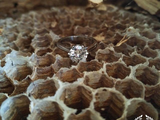 Vai dimanta actiņa tavā rotā tiešām ir kas īpašs?